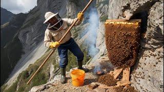 How Farmers Harvest Honey From Mountain Cliffs – Millions of Liters Produced Yearly