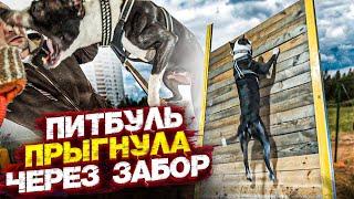 ДЖЕС ОСВАИВАЕТ ГЛУХОЙ БАРЬЕР.