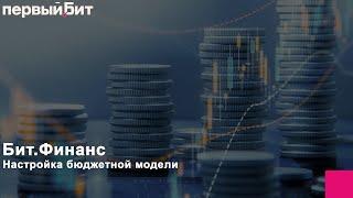 Настройка бюджетной модели в программном решении Бит.Финанс