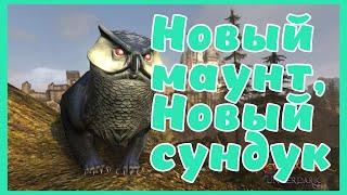 НОВЫЙ МАУНТ! НОВЫЙ СУНДУК! (12 января) - Neverwinter M24