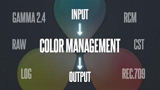 Color Management в DaVinci Resolve. Подробное пособие. Как проявить футажи? Log RAW CST RCM DWG