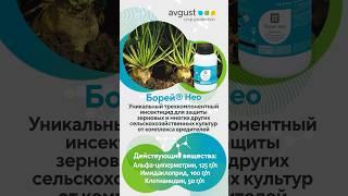  Борей Нео - уникальный трехкомпонентный инсектицид для защиты зерновых от комплекса вредителей