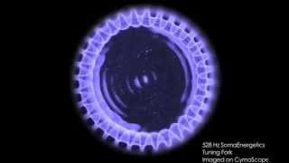 SomaEnergetics 528Hz Tuning Fork on the CymaScope