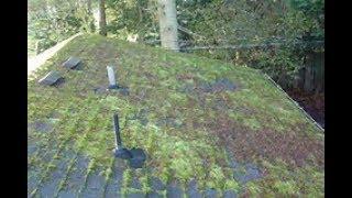 How to Remove  Moss on Roof Fast ! Part 1 Before