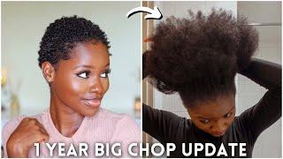  My Growth is crazy after a FAILED Silk Press & Heat Damage | Heat Training my natural hair.