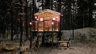 Preparing the Treehouse For the Winter - Adding Moss Roof, Insulation, Floor, Shelf & Making Rotator