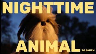 Nighttime Animal (Official Music Video) - ZG Smith