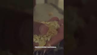 AgroFenix TV- Planta procesadora de Harina Centinela- Producción Nacional
