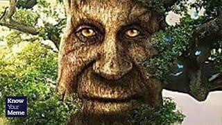 How This Creepy Tree Man Became a Meme | Aztrosist Meme Review