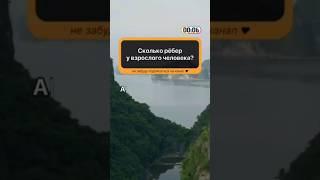 Сколько рёбер у взрослого человека? Пишите ответы в комментариях