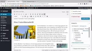 WordPress Schulung #7: Kategorien und Schlagwörter