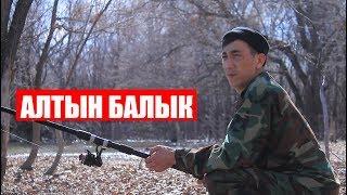 Нурбек Юлдашев/Кыска тамаша/АЛТЫН БАЛЫК/