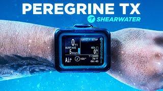 It's Here - The Shearwater Peregrine TX