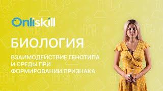 Биология 11 класс: Взаимодействие генотипа и окружающей среды