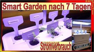 iDOO Smart Garden Kräutergarten - Ergebnisse nach 7 Tagen [ Stromverbrauch ] indoor Gemüse & Kräuter