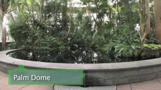 A World of Plants at The New York Botanical Garden