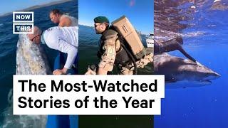 The 10 Biggest NowThis Stories of 2022