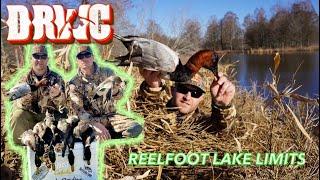 Reelfoot Lake Duck Hunt - Limits with a Trophy Bird!!!