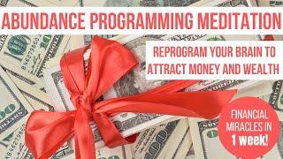 FINANCIAL MIRACLES IN 1 WEEK! | Powerful Abundance Programming Meditation| BECOME A MONEY MAGNET