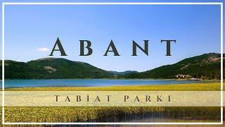 Abant Gölü Tabiat Parkı / Abant Lake Nature Park - Bolu | Drone 4K