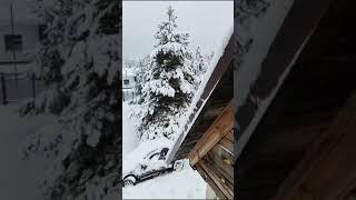 Рошаль д.Семёновская конец декабря.