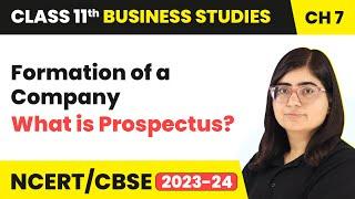 What is Prospectus? - Formation of a Company | Class 11 Business Studies Chapter 7 |