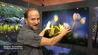 Live! Art Show - Firefly Photography with Radim Schreiber