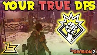 Your TRUE DPS - Shooting Range 2.0 Tutorial (The Division 2)