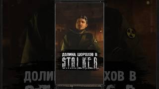 ДОЛИНА ШОРОХОВ В S.T.A.L.K.E.R. #shorts #игры #игрынапк #stalker