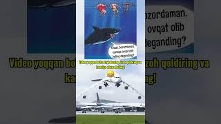 Kulgili videolar hazillar prikollar #shorts #hazillar #prikollar