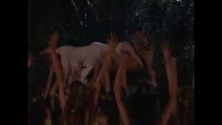Primo vere - Carmina Burana Movie (part II)