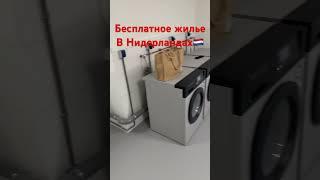 Бесплатное жилье в Нидерландах 