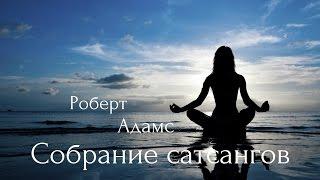 Роберт Адамс - Безмолвие это чистая разумность. Сатсанг | Аудиокнигa | Адвайта | NikOsho