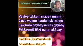 QALI QOLIS/QAFAR GADA/TEKKEEMIT TIKKI NAM NAKKAY/QALO YAYYO BARULE/'AFAR MUSIC