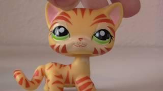 Lps: Моя коллекция стоячих кошек/My collection short cat