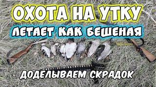 ОХОТА НА УТКУ. СОВЕТУЮ ПОСМОТРЕТЬ! ОЧЕНЬ МНОГО УТКИ. КАК СТАВИТЬ СКРАДОК.