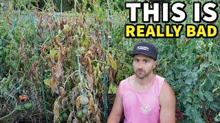 My Garden Is Ruined And EVERYTHING Is Dying!