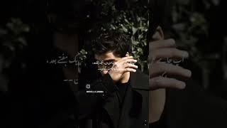 Novels ki deewani #whatsapp #statusvideo #love#foryou #trendingvideo #novelstory