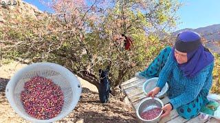 Mountain pistachios: Grandma's skillful take on beautiful nature