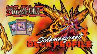 Yugioh *Updated* Salamangreat Deck Profile - The Best Budget Deck This Meta?