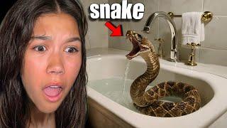 I Found A RATTLE SNAKE in my Bathroom! *SCARY*