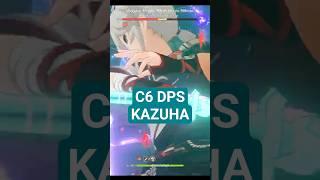 C6 DPS Kazuha