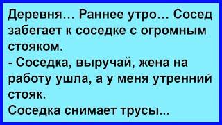 Сосед попросил соседку, чтобы она выручила его... Сборник! Юмор! Позитив!