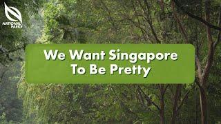 We Want Singapore To Be Pretty