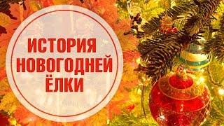 Новогодняя Елка - символ праздника  Откуда взялась традиция украшать елку?  Новогодние традиции