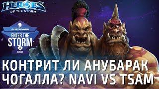 NaVi vs TSaM: контрит ли Анубарак ЧоГалла? Финал Enter The Storm