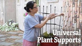 Universal Plant Supports