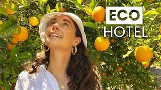 The Most Eco-friendly Hotel In Mallorca | Sustainable Travel & Eco-Tourism