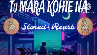 Tu mara kohie na.(SLORED+REVRB).new lofi song 2023..