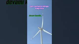 Rüzgar Gülü Ve İnsanın Akılalmaz Benzerliği